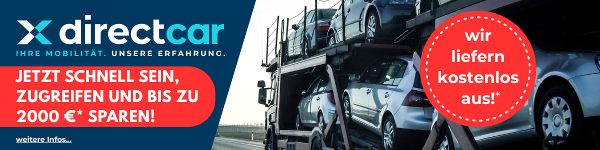 Aktionskracher: Kostenlose Zustellung beim vollen Transporter