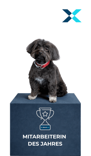 Dasha – Feel Good Manager